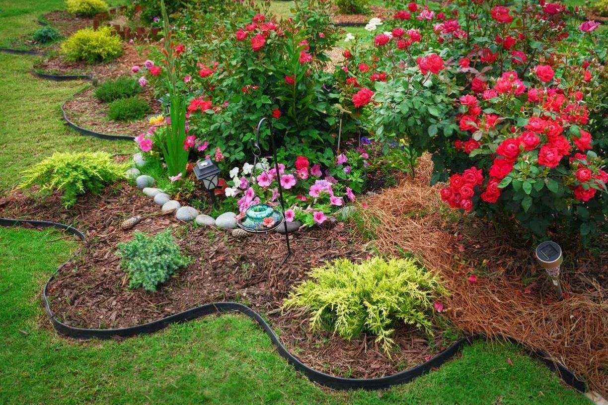 Gardening (3) compressed 8348