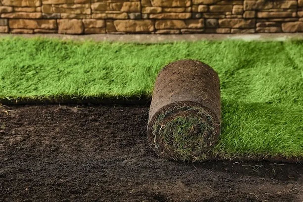 Sod Installation (3) 3496